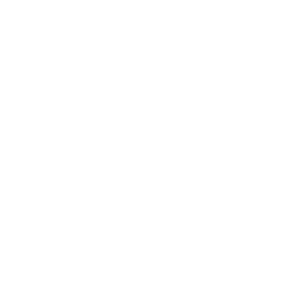 Ongoing Support